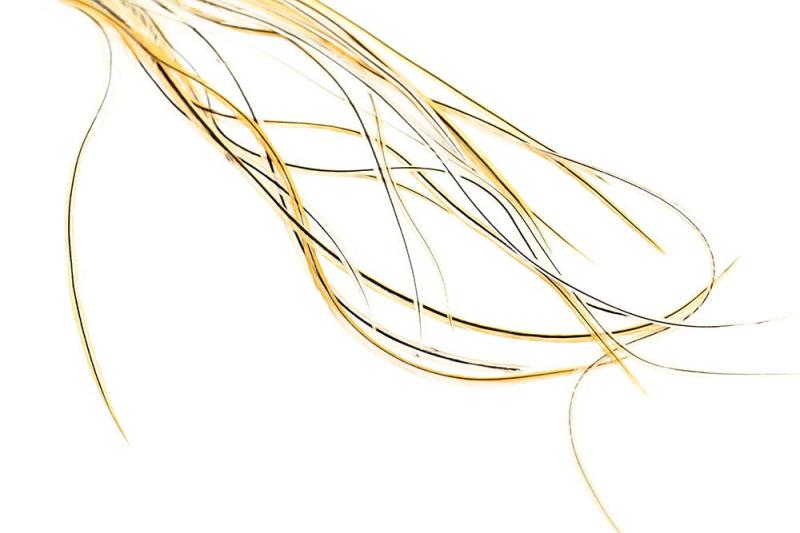 100 Pakke Golden Badger Tørflue Sadler fra Whiting
