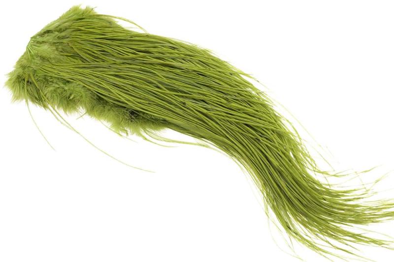 (Professionel Kvalitet) Whiting Red Label Sadle - Oliven