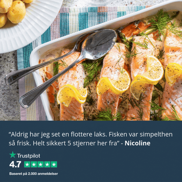 Bestseller: Lakseside M. Skind fra Kystfisken