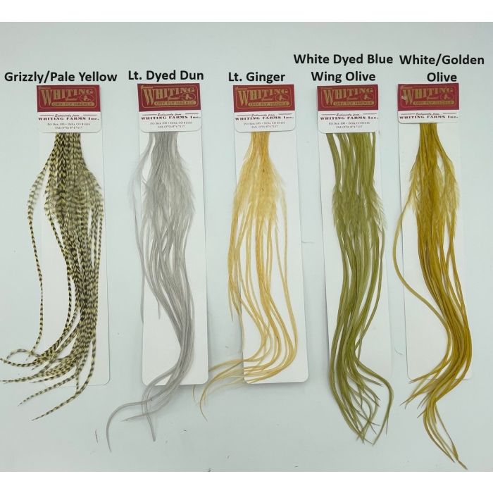 100 Pk fra Whiting