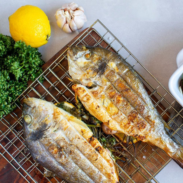 Dorader fra Kystfisken