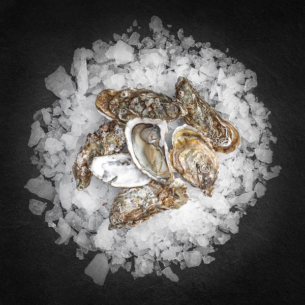 Fine De Claire østers fra Kystfisken